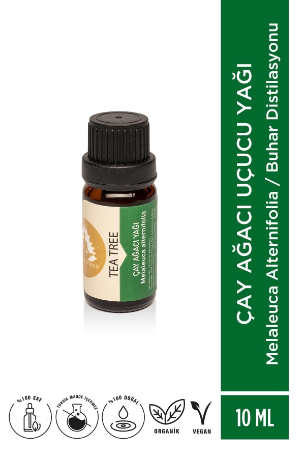 Çay Ağacı Uçucu Yağı Melaleuca alternifolia - 10ml